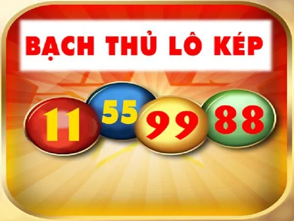 Soi lô cầu kép là gì? Các loại soi lô cầu kép phổ biến